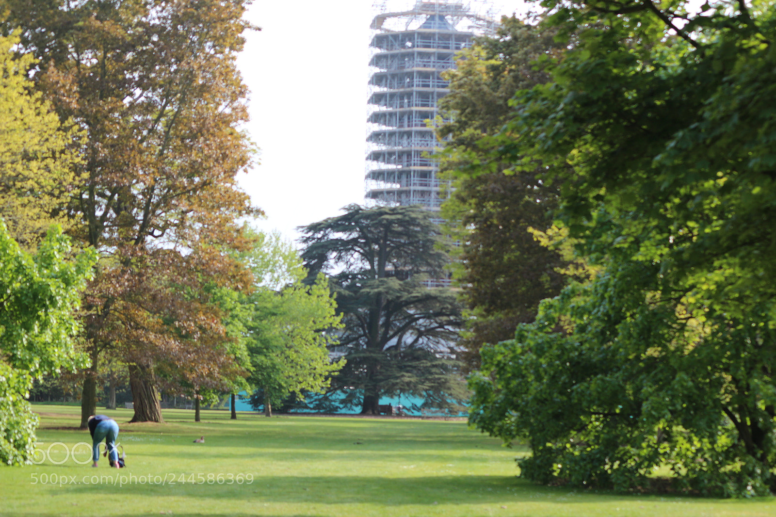 Canon EOS 650D (EOS Rebel T4i / EOS Kiss X6i) sample photo. Img photography