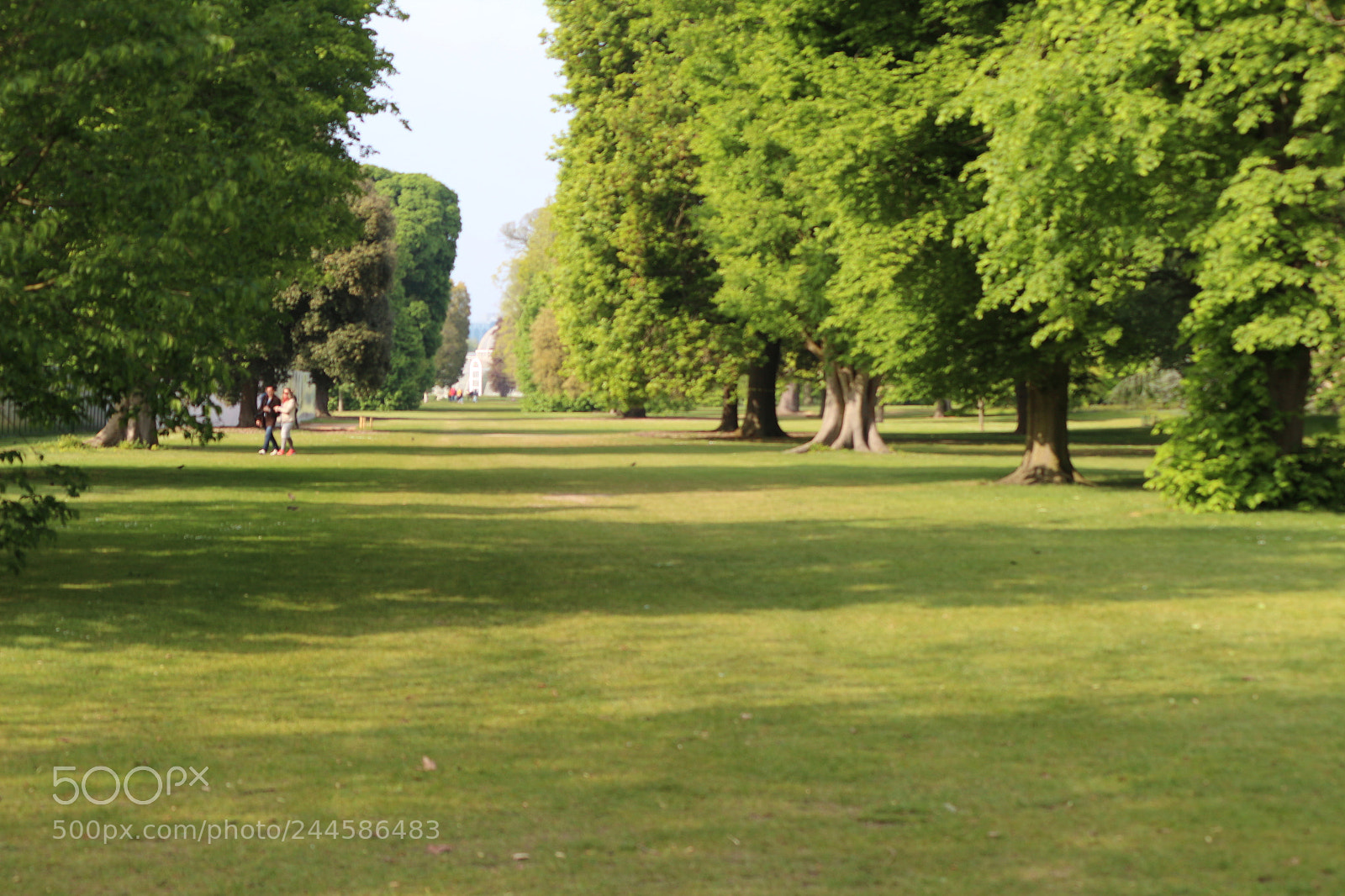 Canon EOS 650D (EOS Rebel T4i / EOS Kiss X6i) sample photo. Img photography