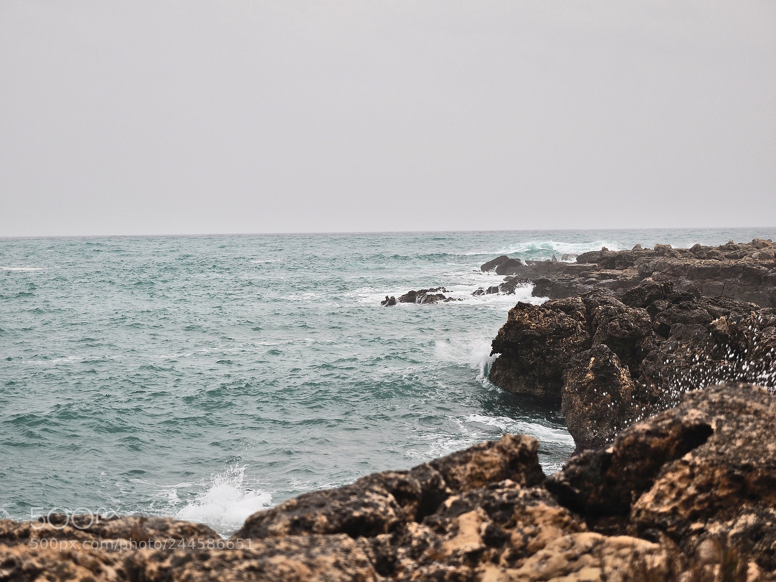 Olympus OM-D E-M1 sample photo. Ognina photography
