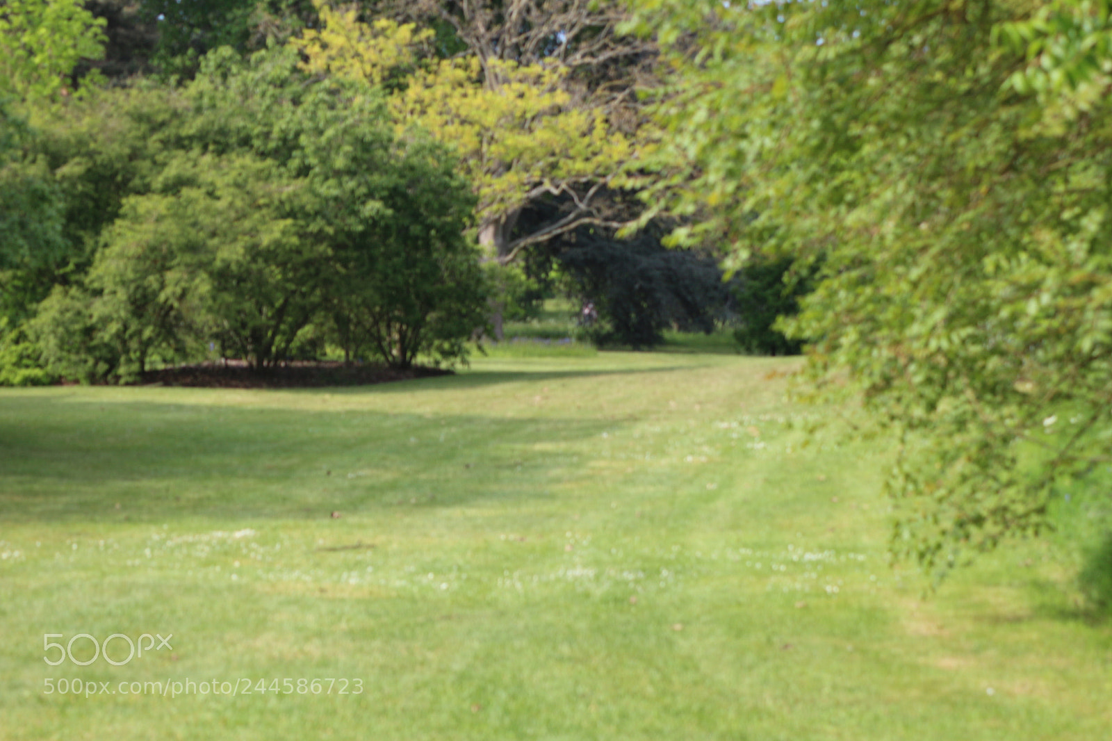 Canon EOS 650D (EOS Rebel T4i / EOS Kiss X6i) sample photo. Img photography
