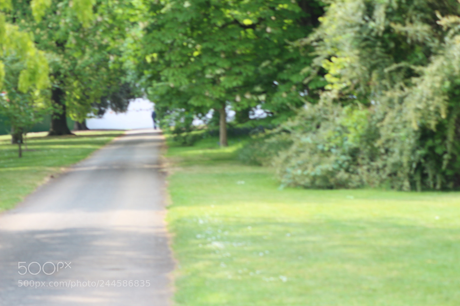 Canon EOS 650D (EOS Rebel T4i / EOS Kiss X6i) sample photo. Img photography