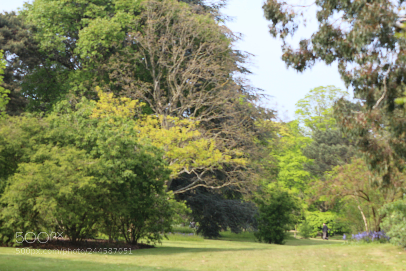 Canon EOS 650D (EOS Rebel T4i / EOS Kiss X6i) sample photo. Img photography