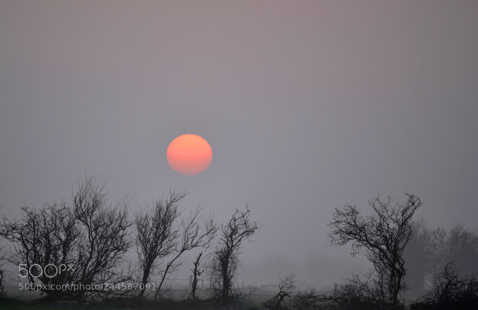 Nikon D3100 sample photo. Days end photography