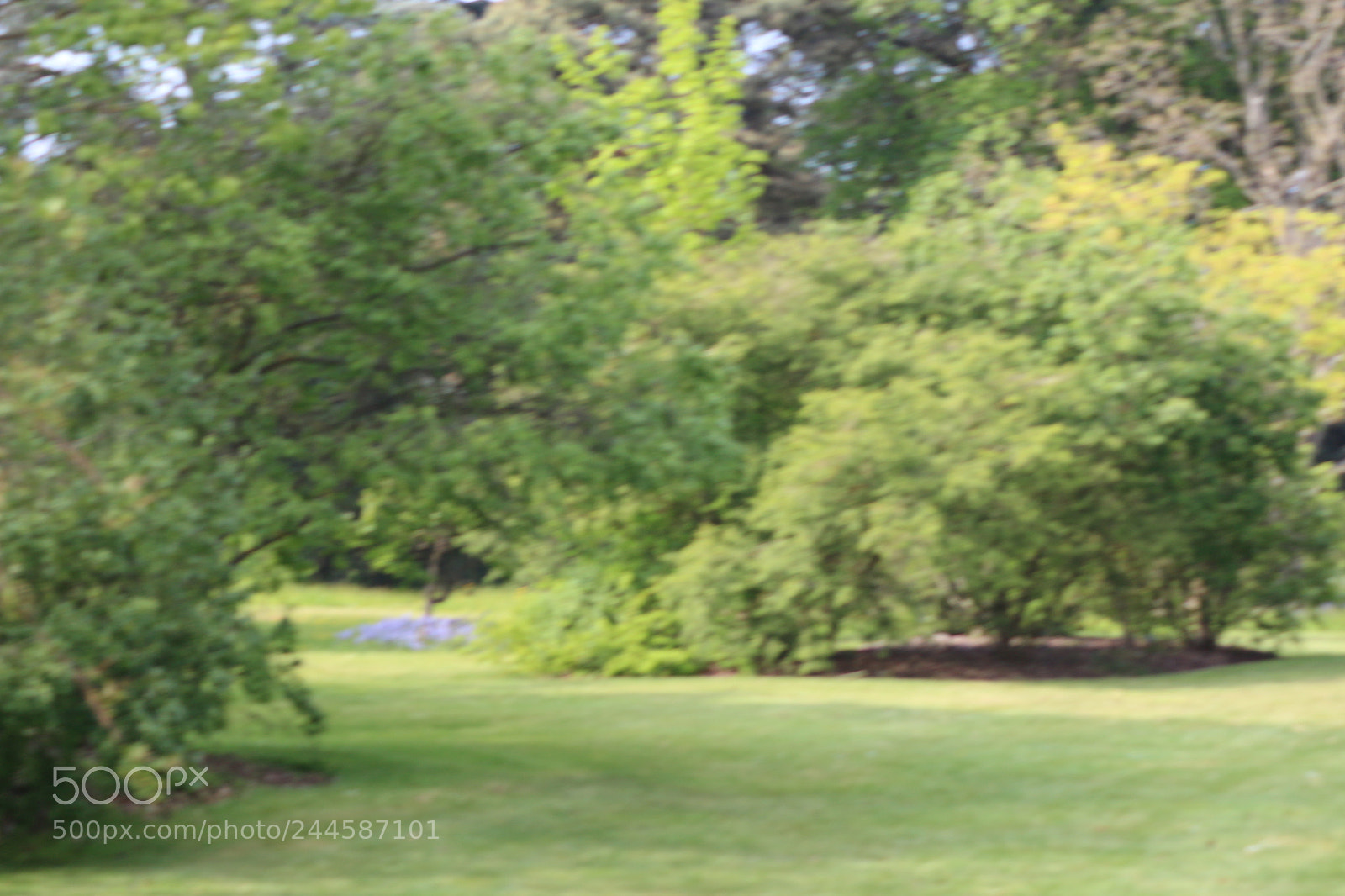 Canon EOS 650D (EOS Rebel T4i / EOS Kiss X6i) sample photo. Img photography