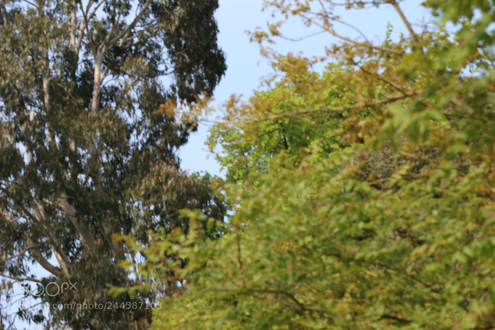 Canon EOS 650D (EOS Rebel T4i / EOS Kiss X6i) sample photo. Img photography