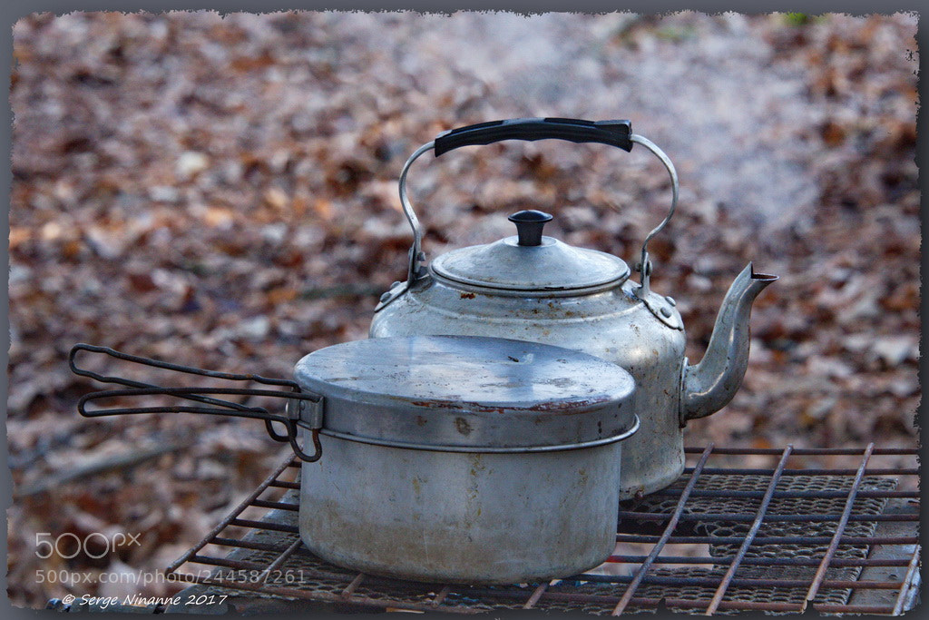 Nikon D800E sample photo. (c+r) photography