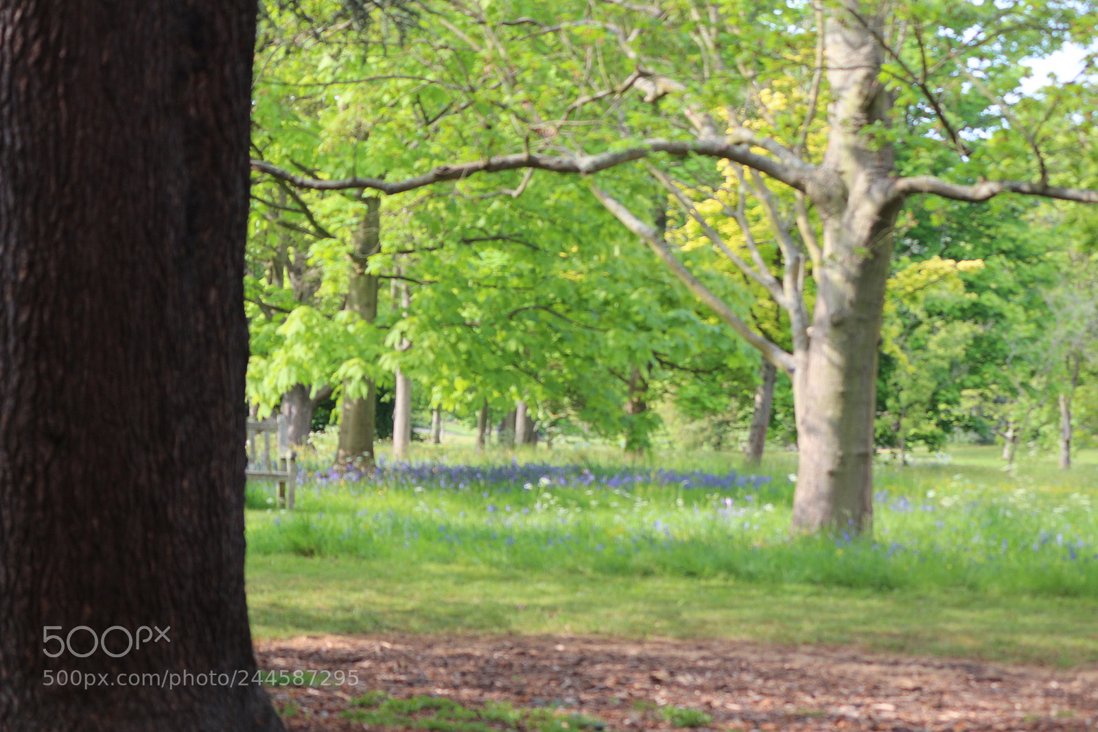 Canon EOS 650D (EOS Rebel T4i / EOS Kiss X6i) sample photo. Img photography