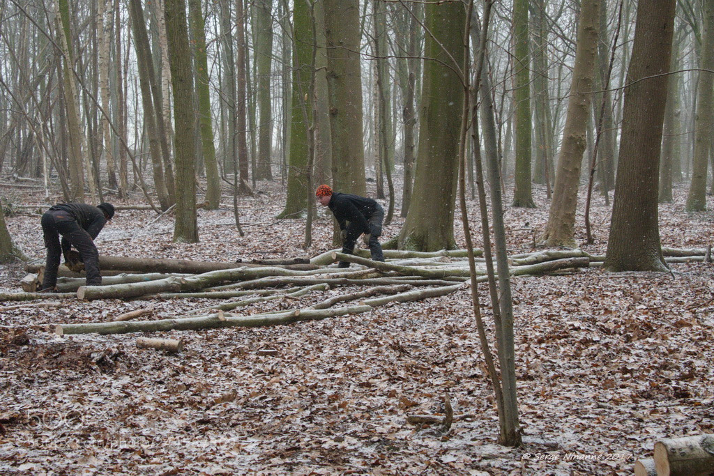 Nikon D500 sample photo. (c+r) photography