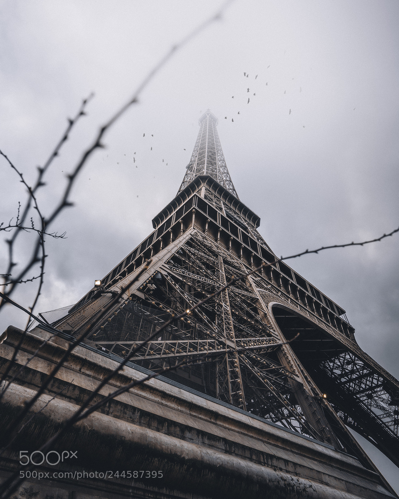 Sony a7R II sample photo. The iron lady photography