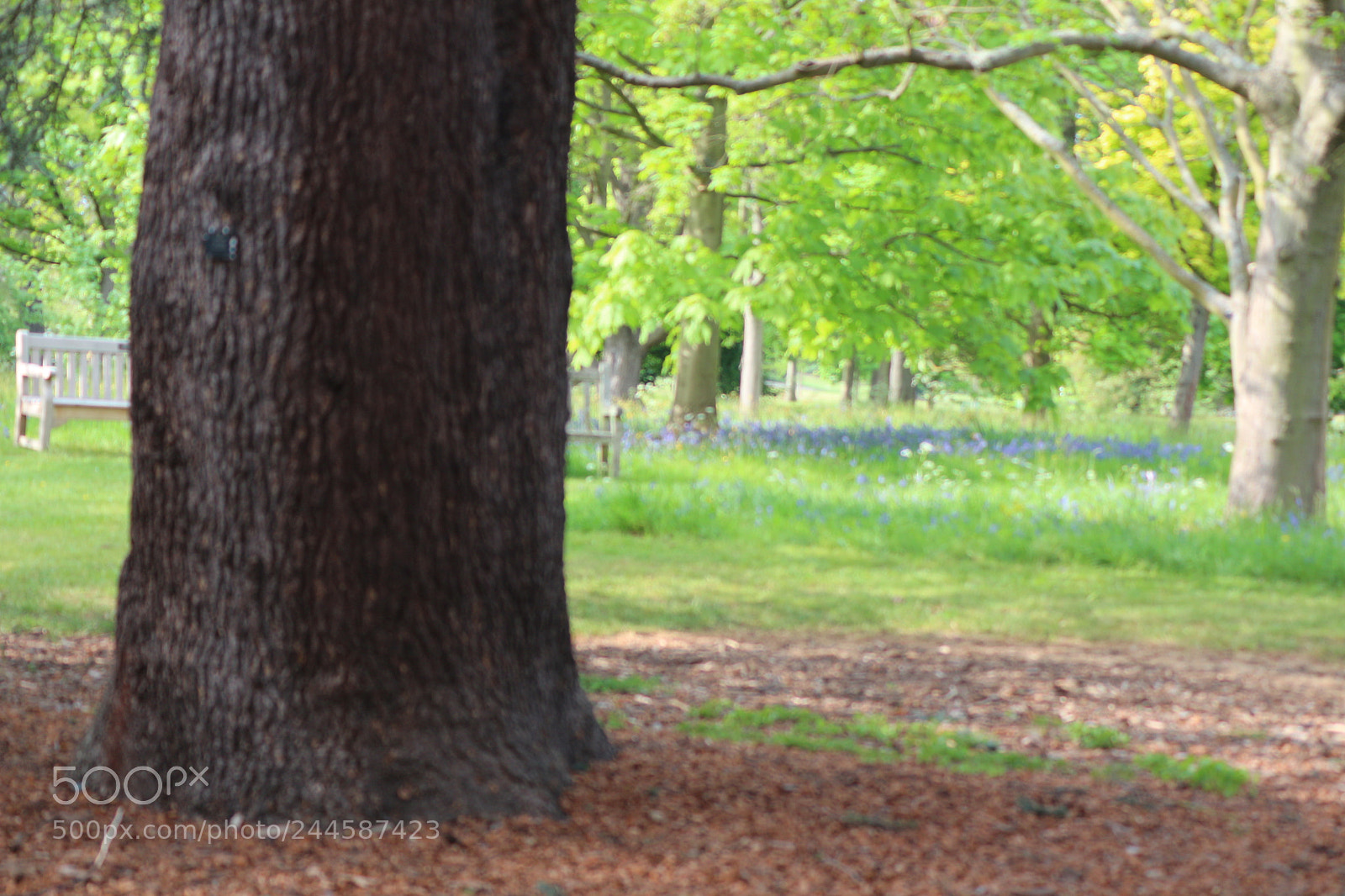 Canon EOS 650D (EOS Rebel T4i / EOS Kiss X6i) sample photo. Img photography