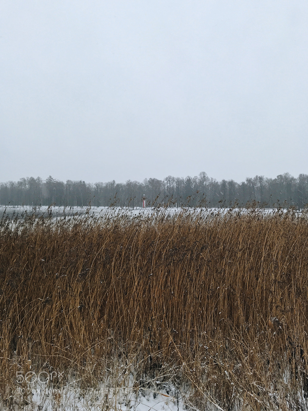 Apple iPhone 7 sample photo. Петергоф старый маяк photography