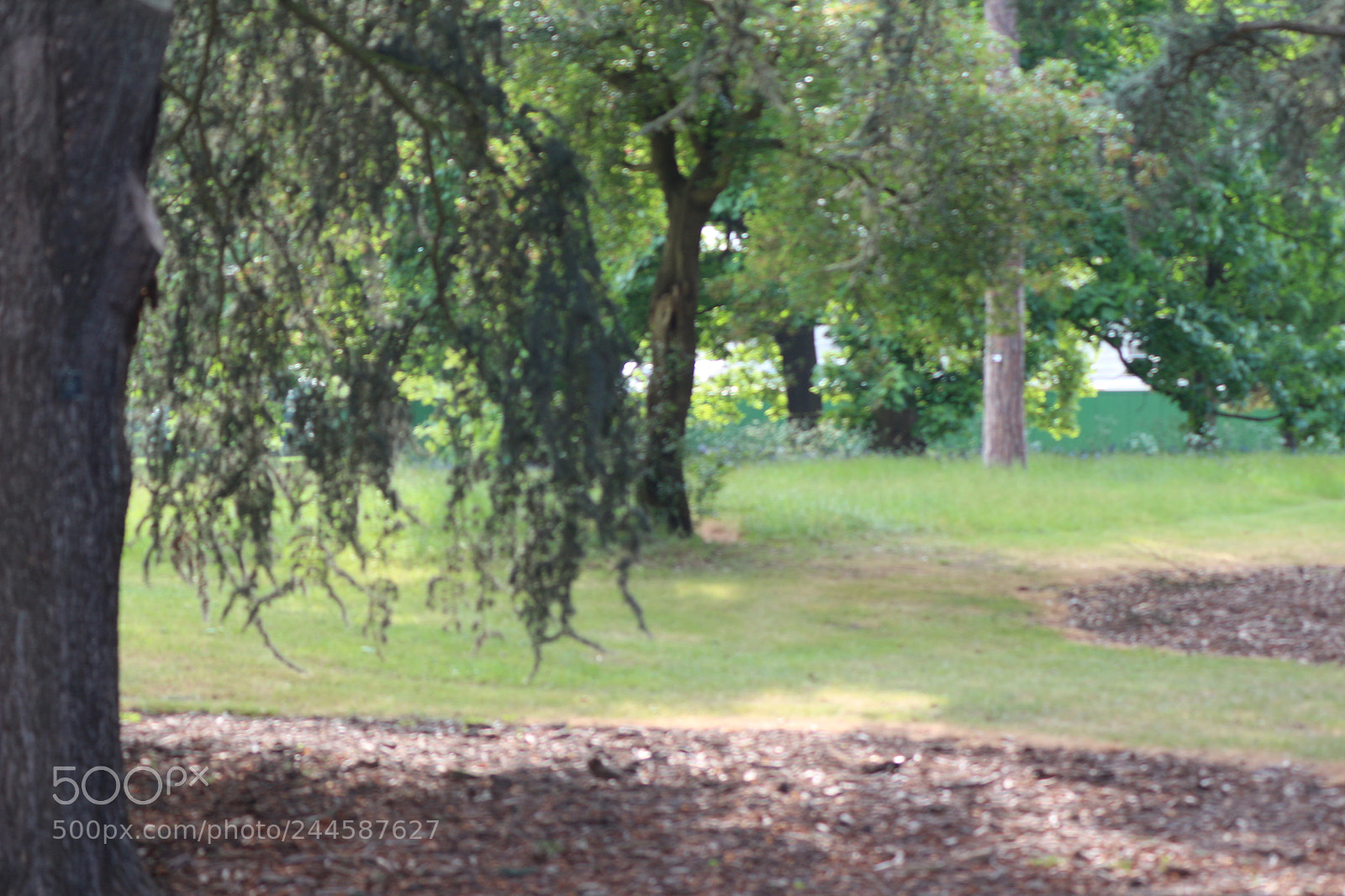 Canon EOS 650D (EOS Rebel T4i / EOS Kiss X6i) sample photo. Img photography