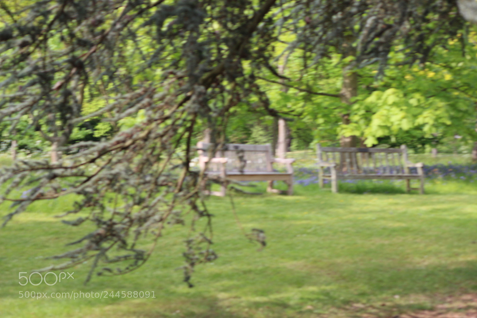 Canon EOS 650D (EOS Rebel T4i / EOS Kiss X6i) sample photo. Img photography