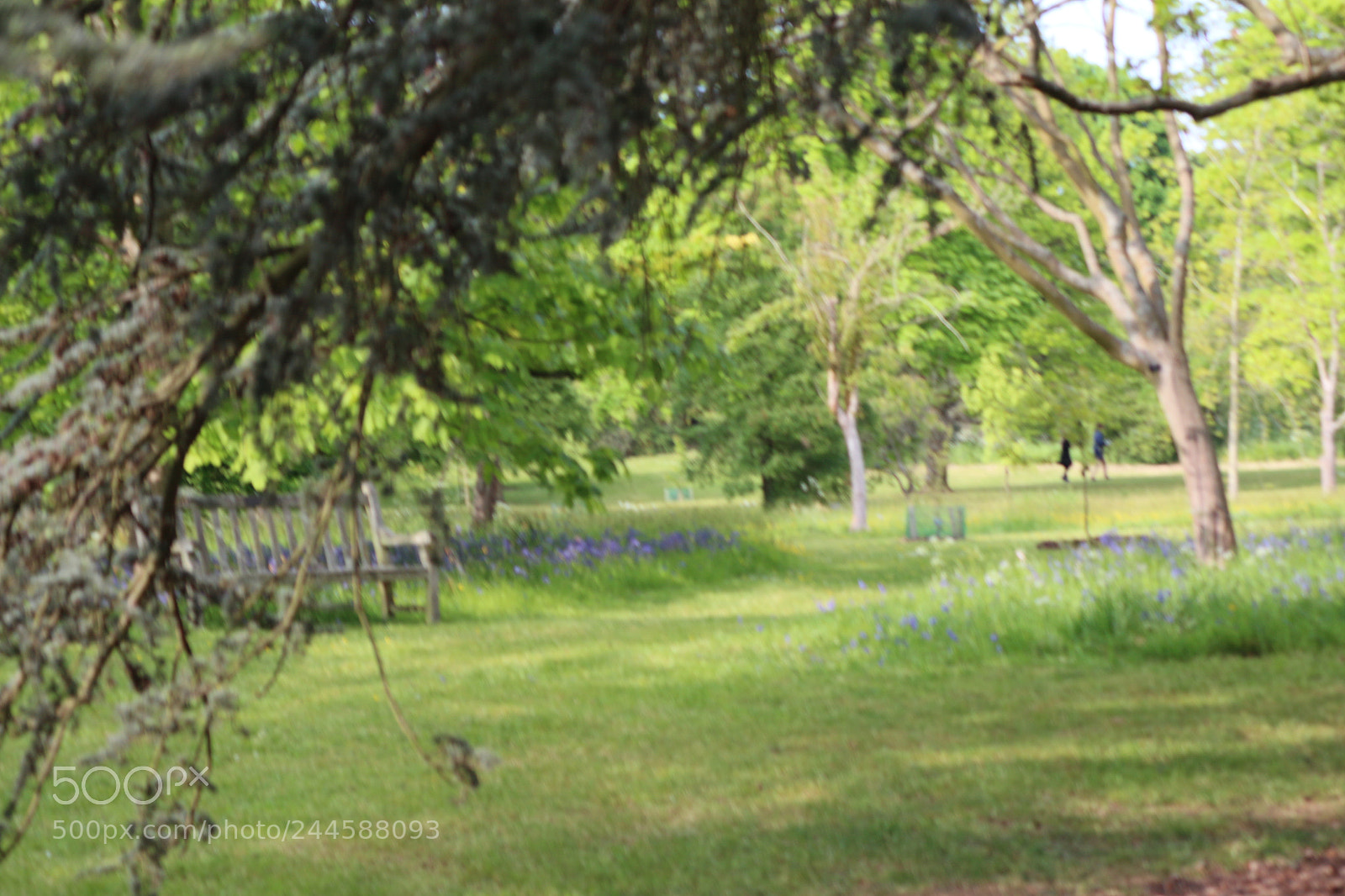 Canon EOS 650D (EOS Rebel T4i / EOS Kiss X6i) sample photo. Img photography