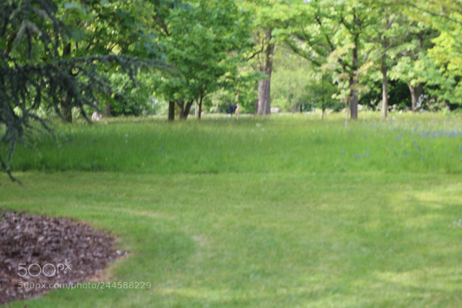 Canon EOS 650D (EOS Rebel T4i / EOS Kiss X6i) sample photo. Img photography