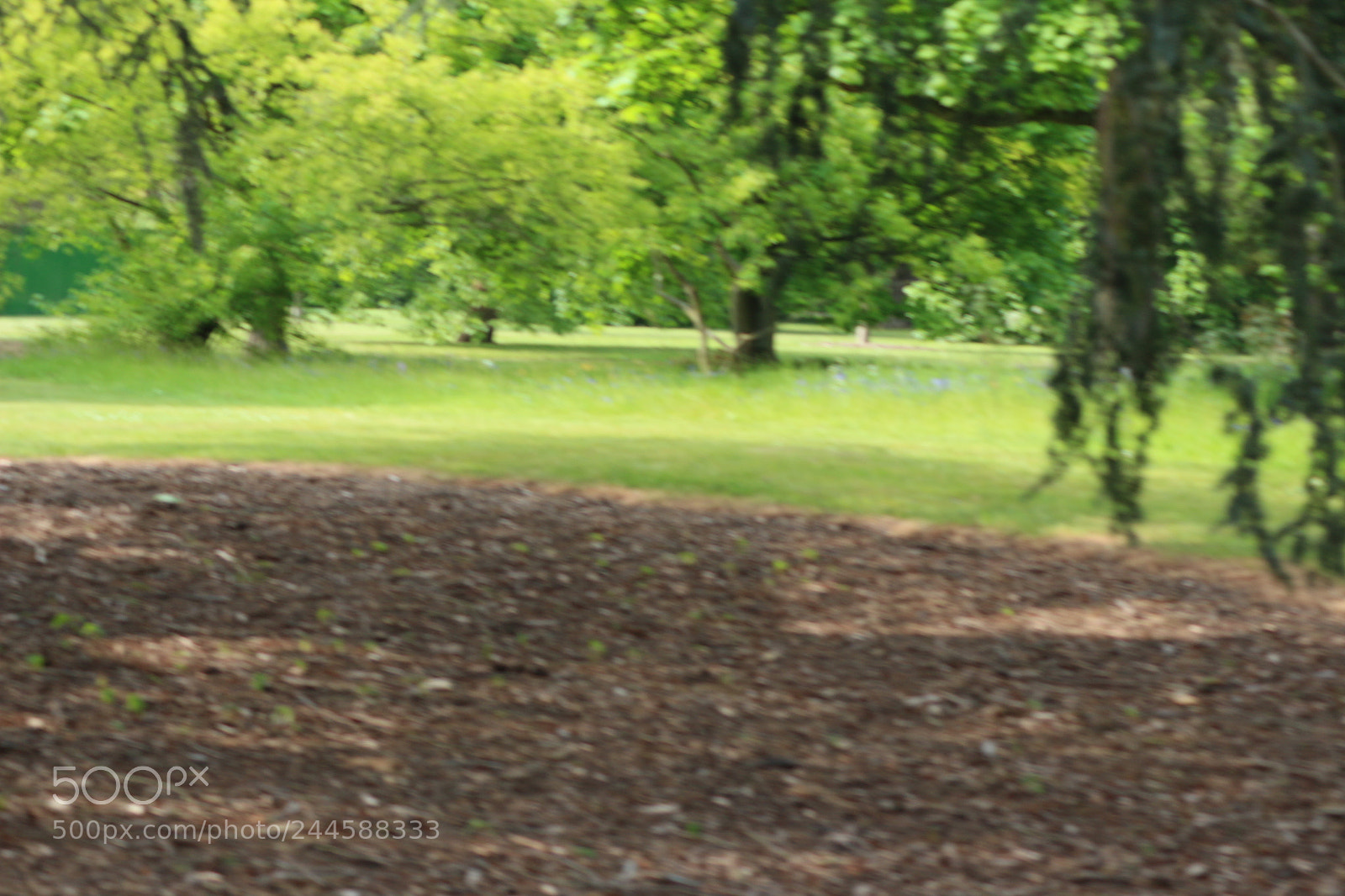 Canon EOS 650D (EOS Rebel T4i / EOS Kiss X6i) sample photo. Img photography
