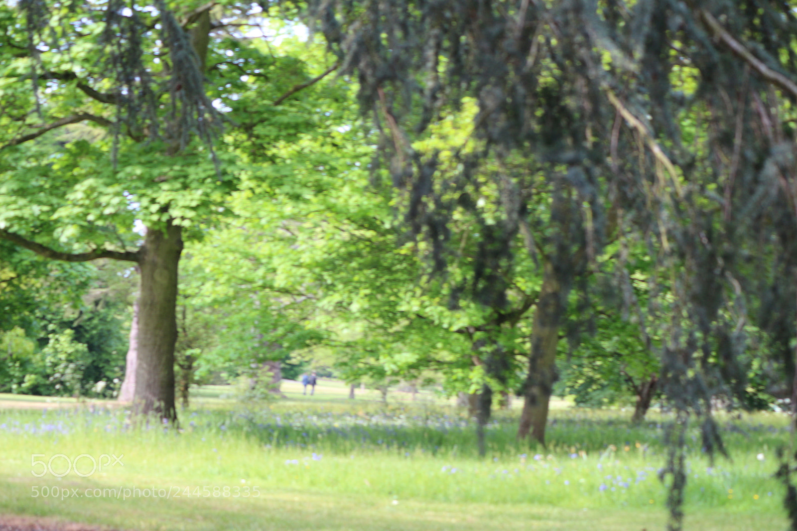 Canon EOS 650D (EOS Rebel T4i / EOS Kiss X6i) sample photo. Img photography