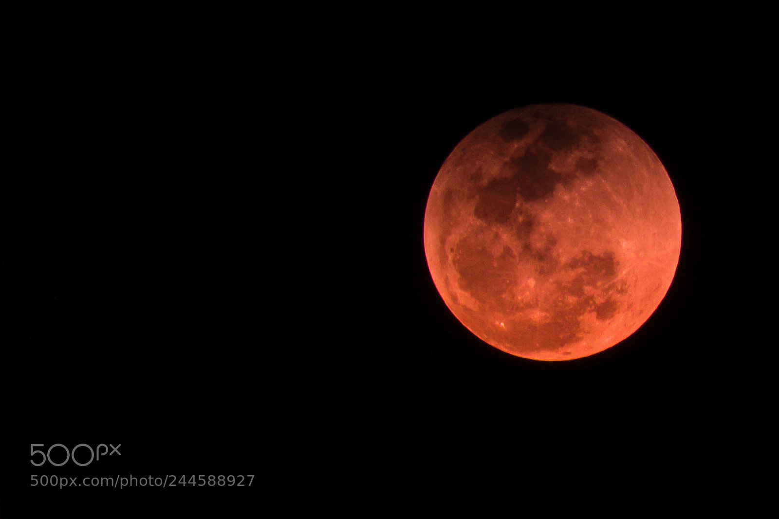 Nikon D7100 sample photo. Blood moon photography