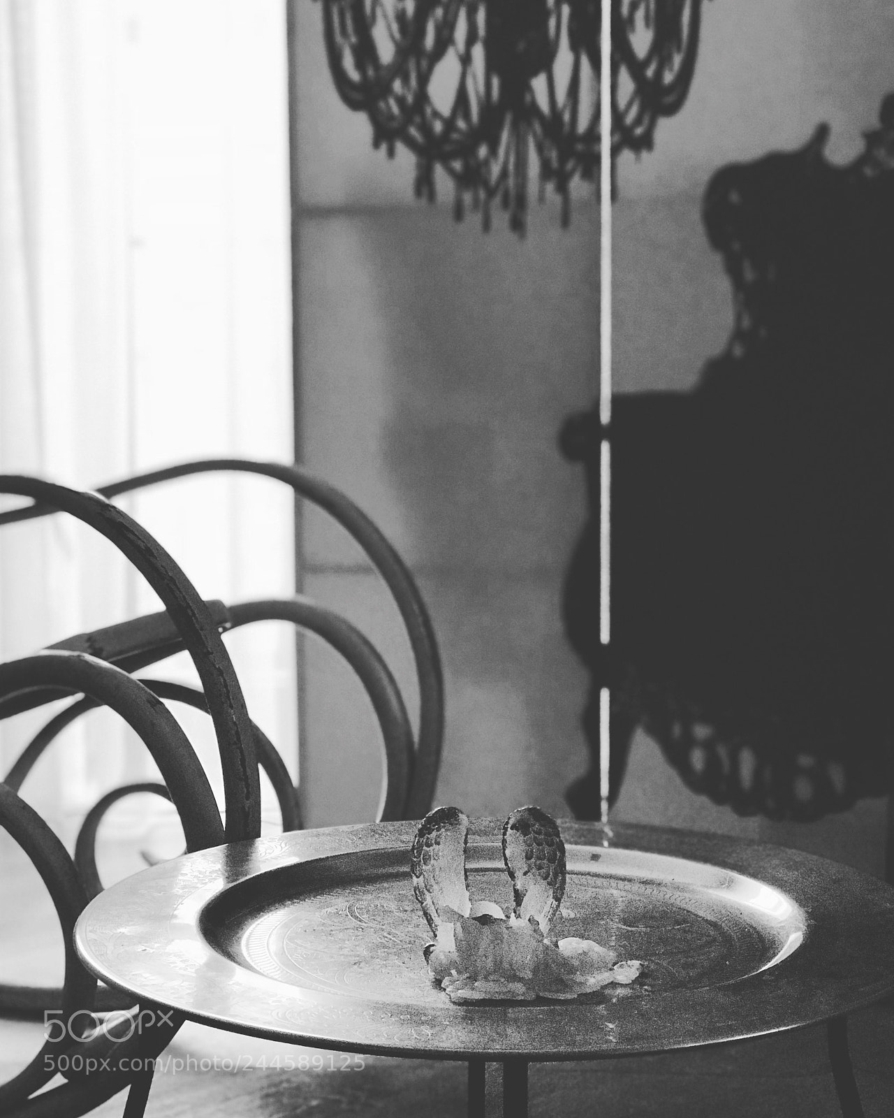 Apple iPhone 7 Plus sample photo. Untitled photography