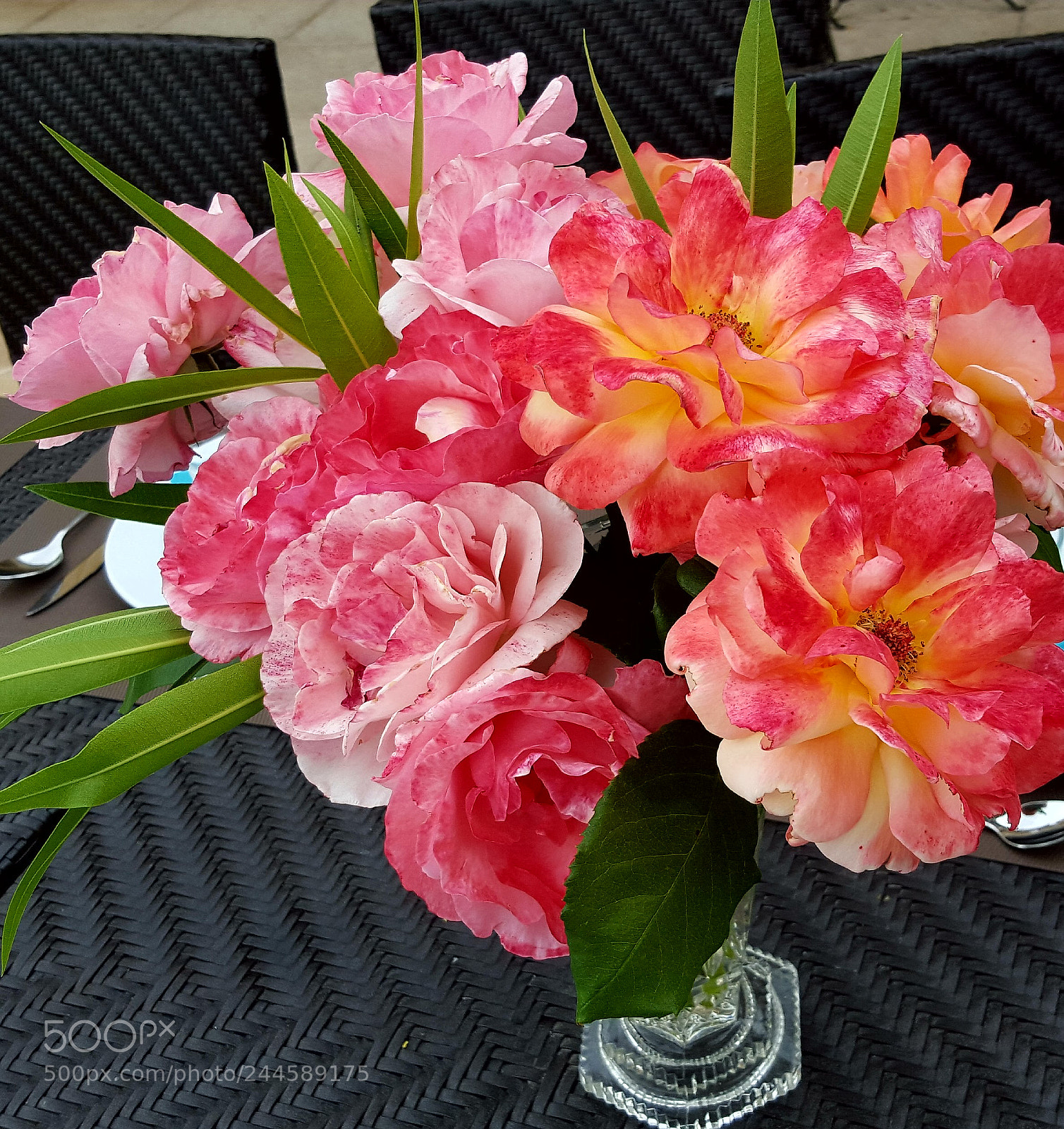 Samsung Galaxy S6 sample photo. Untitled photography