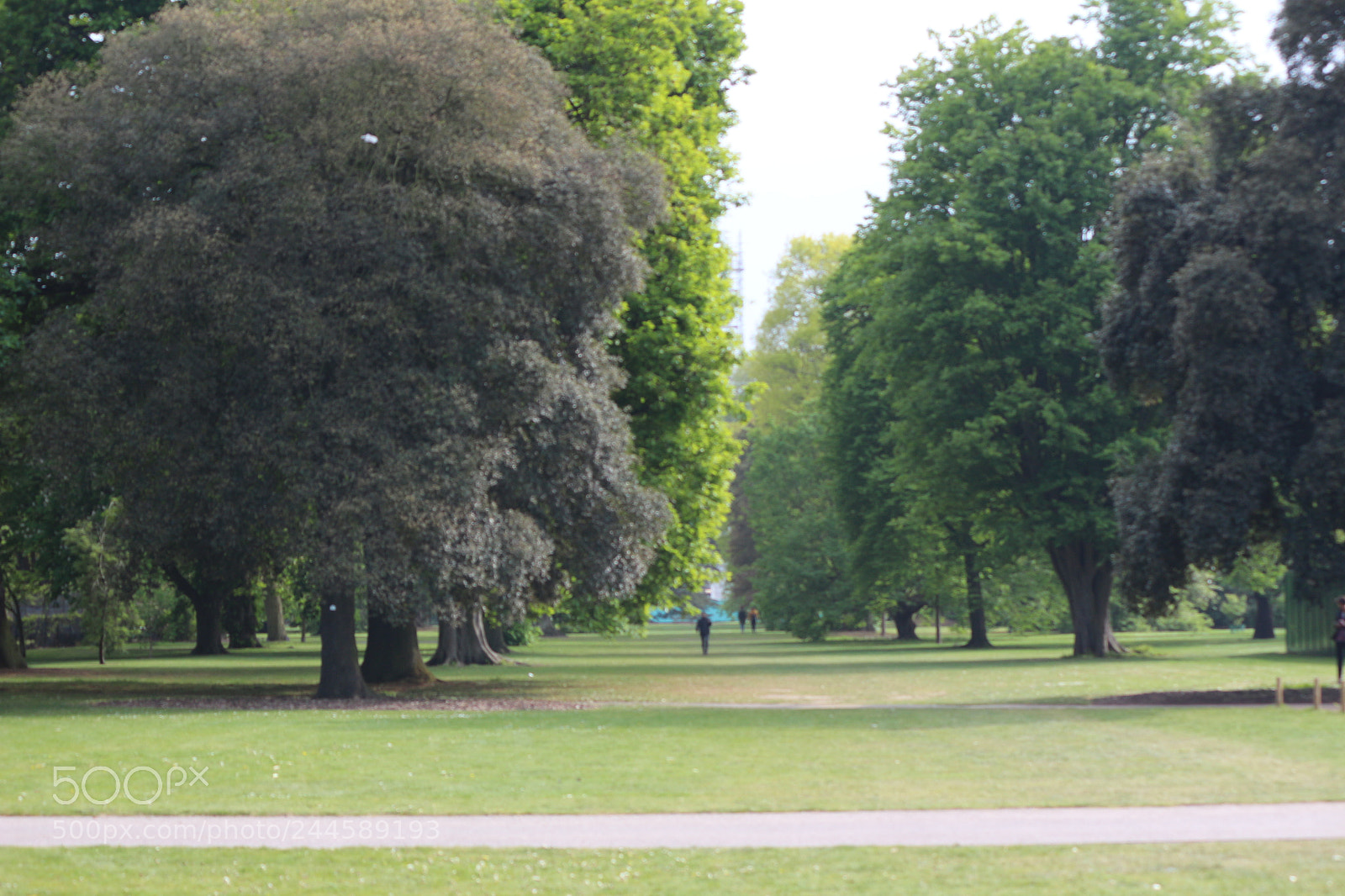 Canon EOS 650D (EOS Rebel T4i / EOS Kiss X6i) sample photo. Img photography
