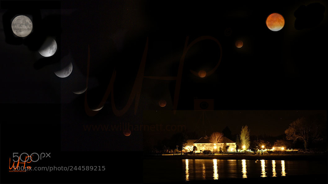 Fujifilm X-T1 sample photo. Bloodstream photography