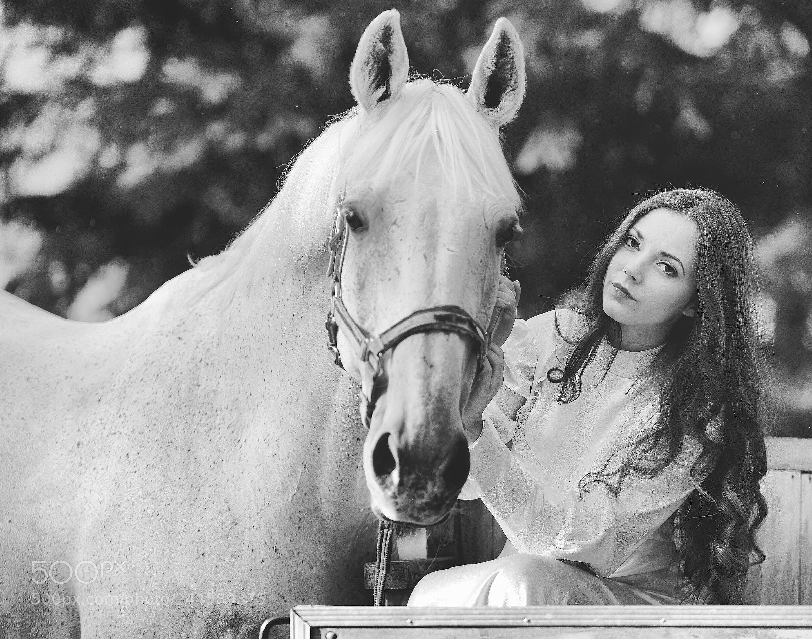 Nikon D800 sample photo. Untitled photography