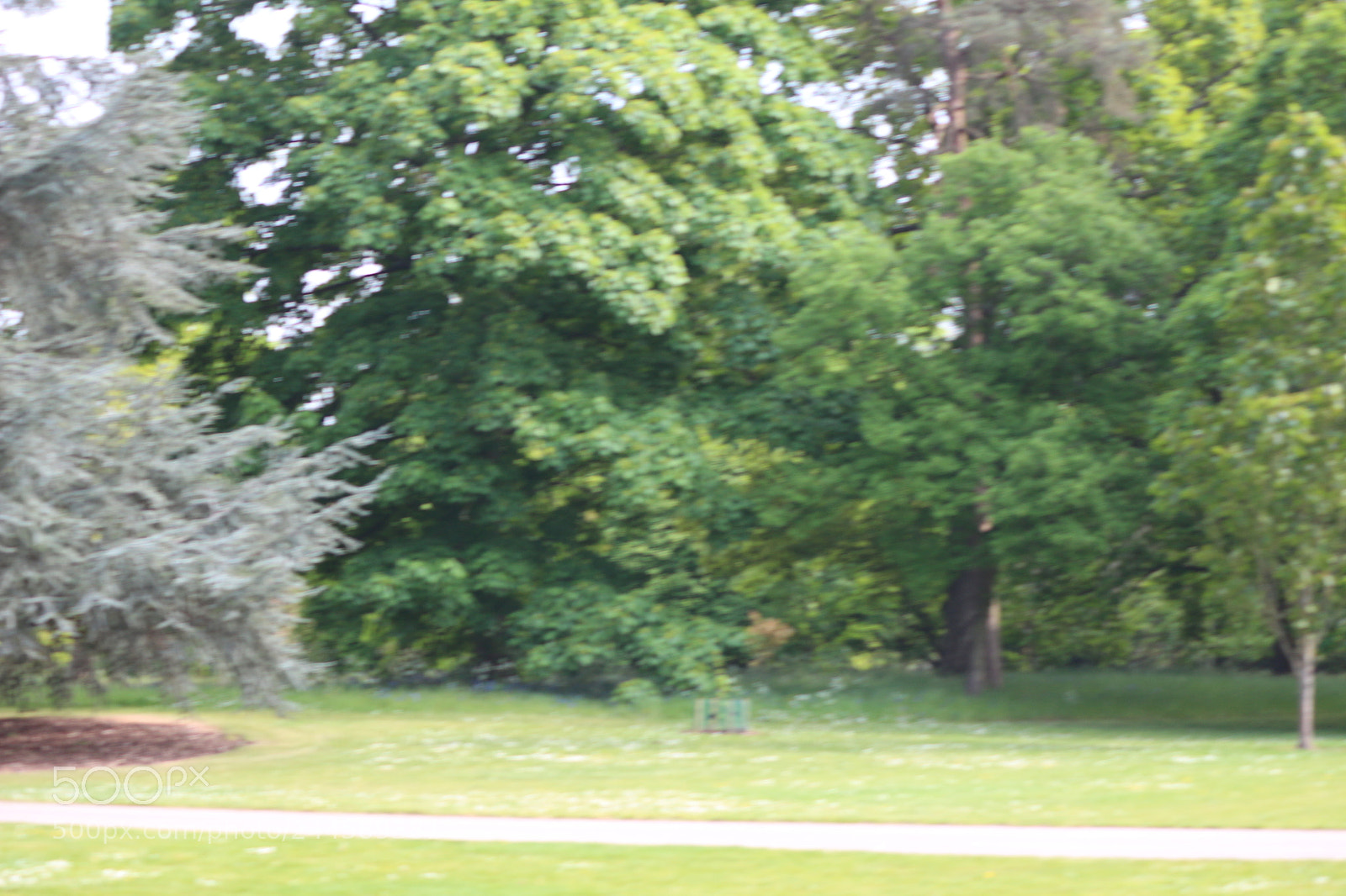 Canon EOS 650D (EOS Rebel T4i / EOS Kiss X6i) sample photo. Img photography