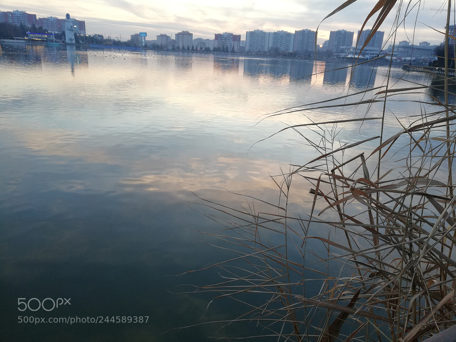 HUAWEI Mate 10 Lite sample photo. The encounter photography