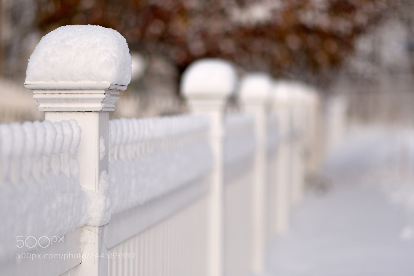 Nikon D810 sample photo. First snow of the photography