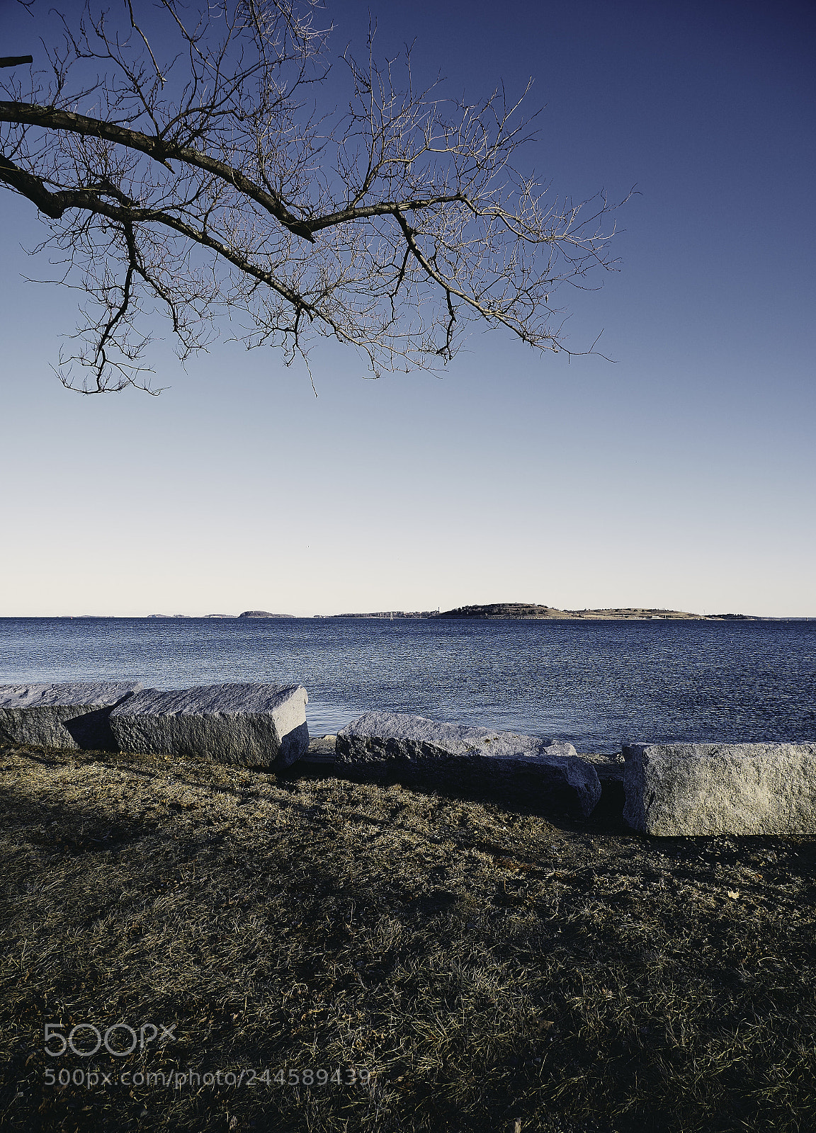 Panasonic Lumix DMC-G85 (Lumix DMC-G80) sample photo. Castle island waterfront photography
