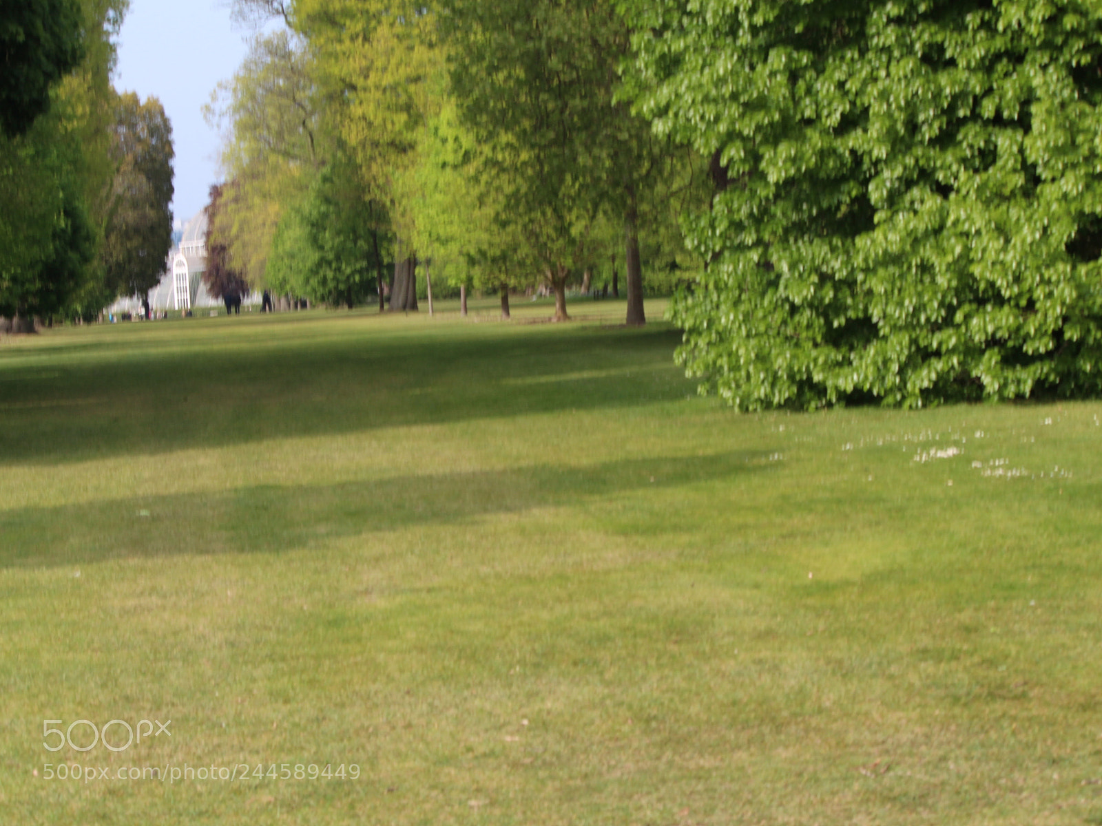 Canon EOS 650D (EOS Rebel T4i / EOS Kiss X6i) sample photo. Img photography
