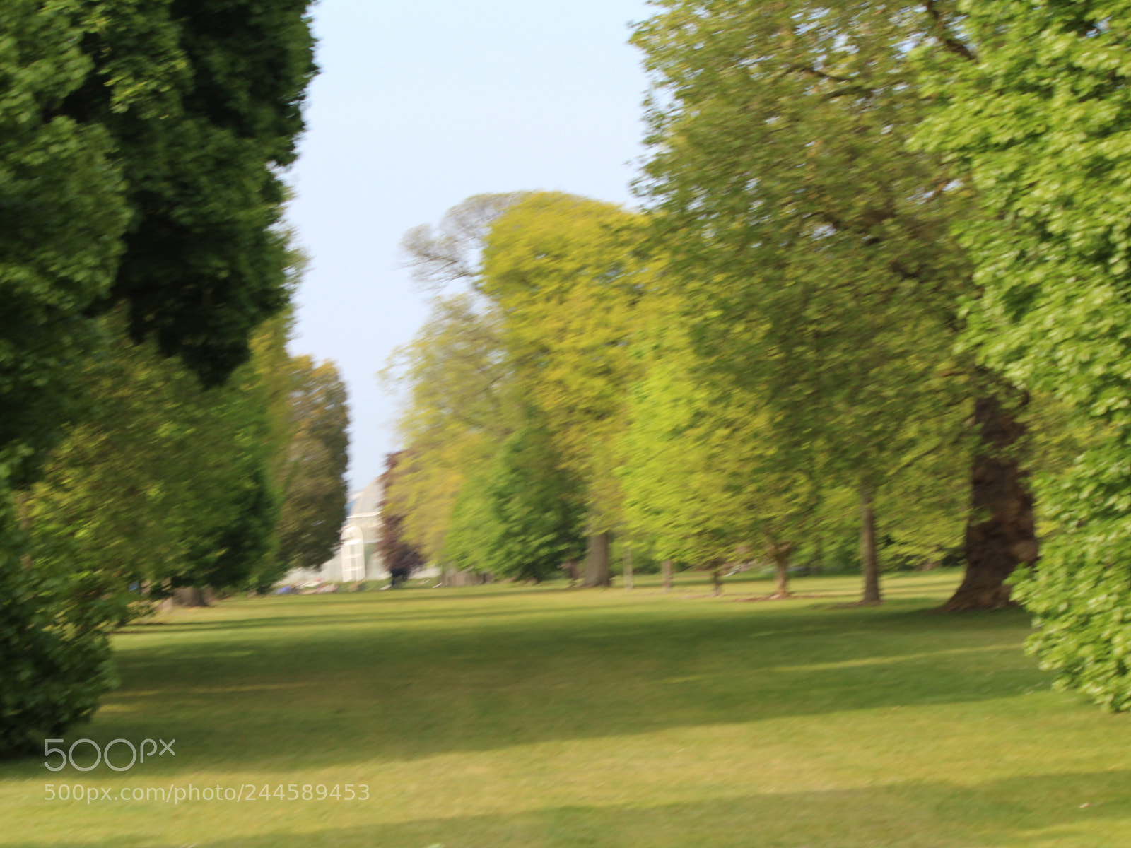 Canon EOS 650D (EOS Rebel T4i / EOS Kiss X6i) sample photo. Img photography