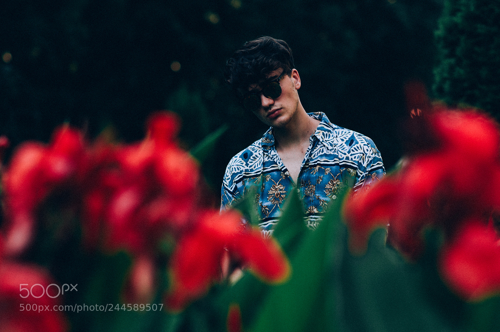 Nikon D90 sample photo. Tulip boy photography