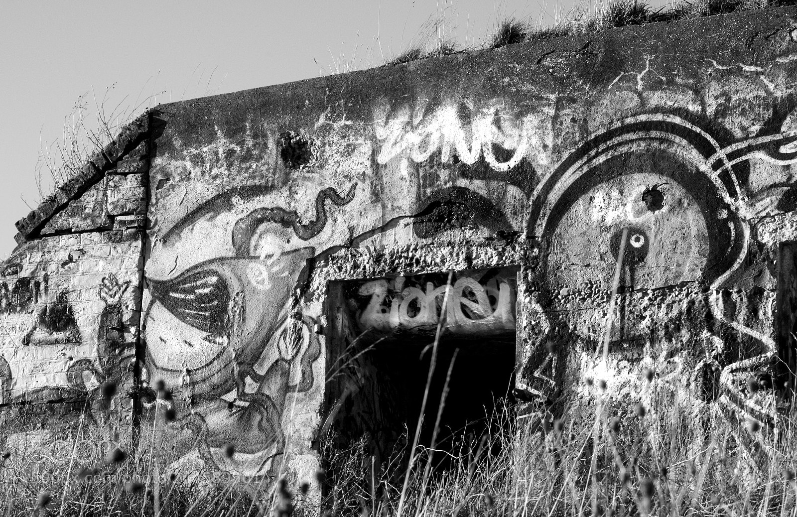 Nikon D300 sample photo. Noname photography