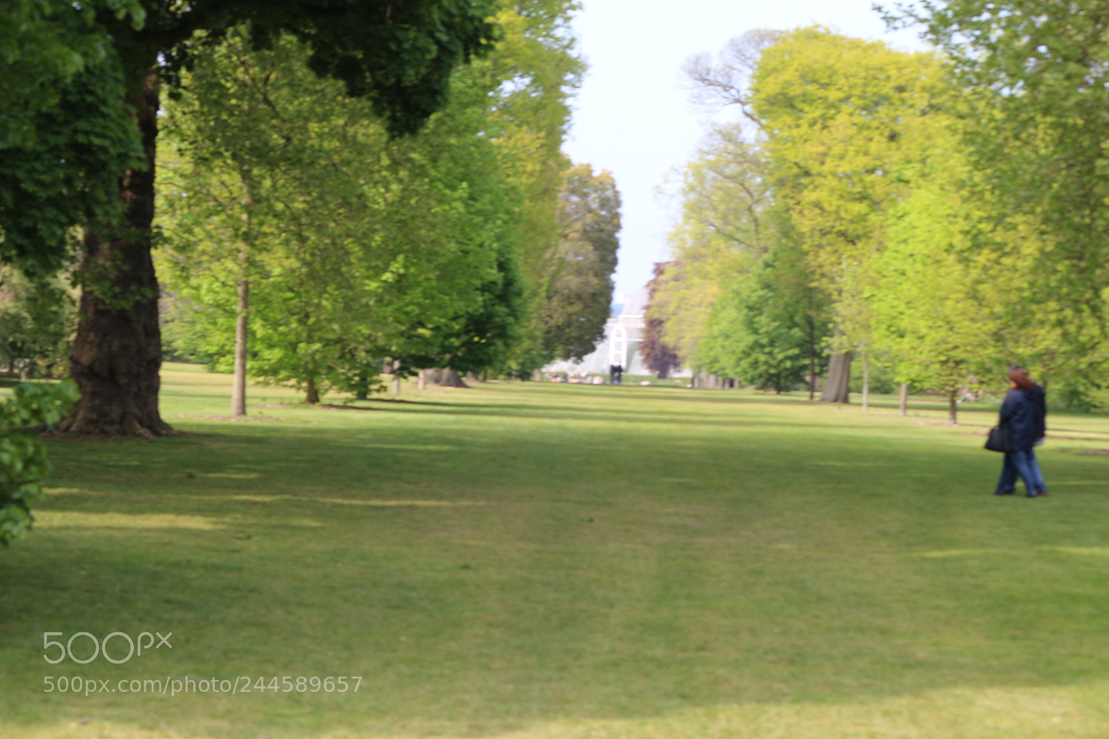 Canon EOS 650D (EOS Rebel T4i / EOS Kiss X6i) sample photo. Img photography