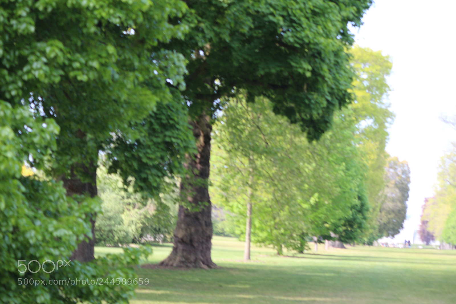 Canon EOS 650D (EOS Rebel T4i / EOS Kiss X6i) sample photo. Img photography