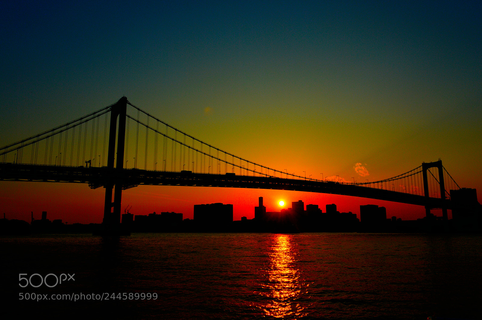 Nikon D3200 sample photo. Bridge photography