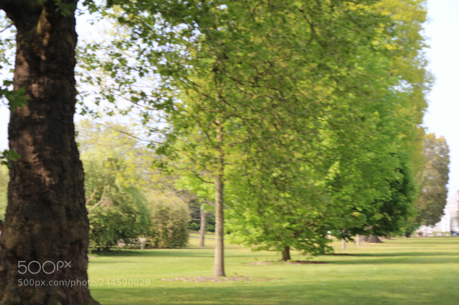 Canon EOS 650D (EOS Rebel T4i / EOS Kiss X6i) sample photo. Img photography