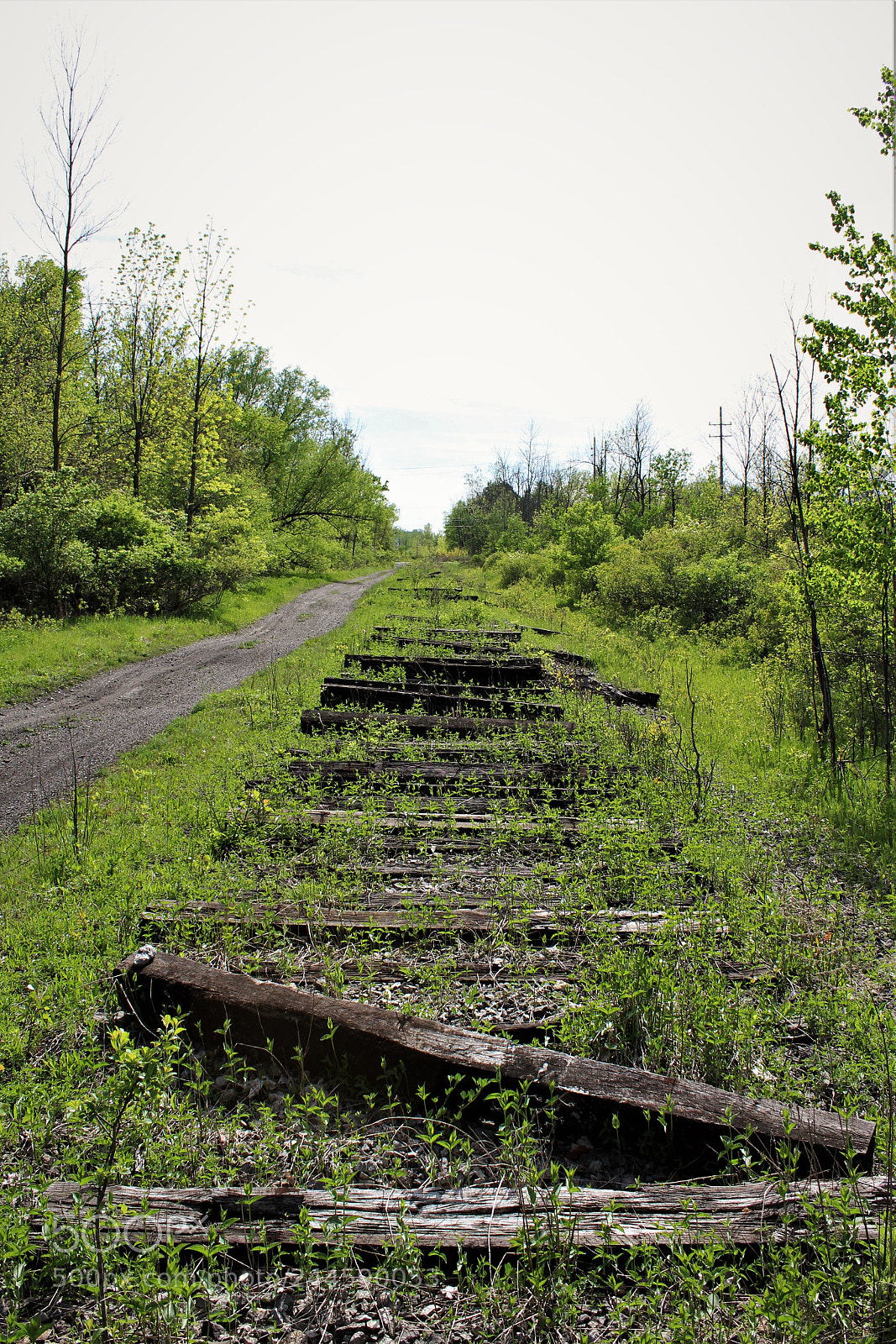 Canon EOS 1200D (EOS Rebel T5 / EOS Kiss X70 / EOS Hi) sample photo. Abandoned railroad right-of-way photography