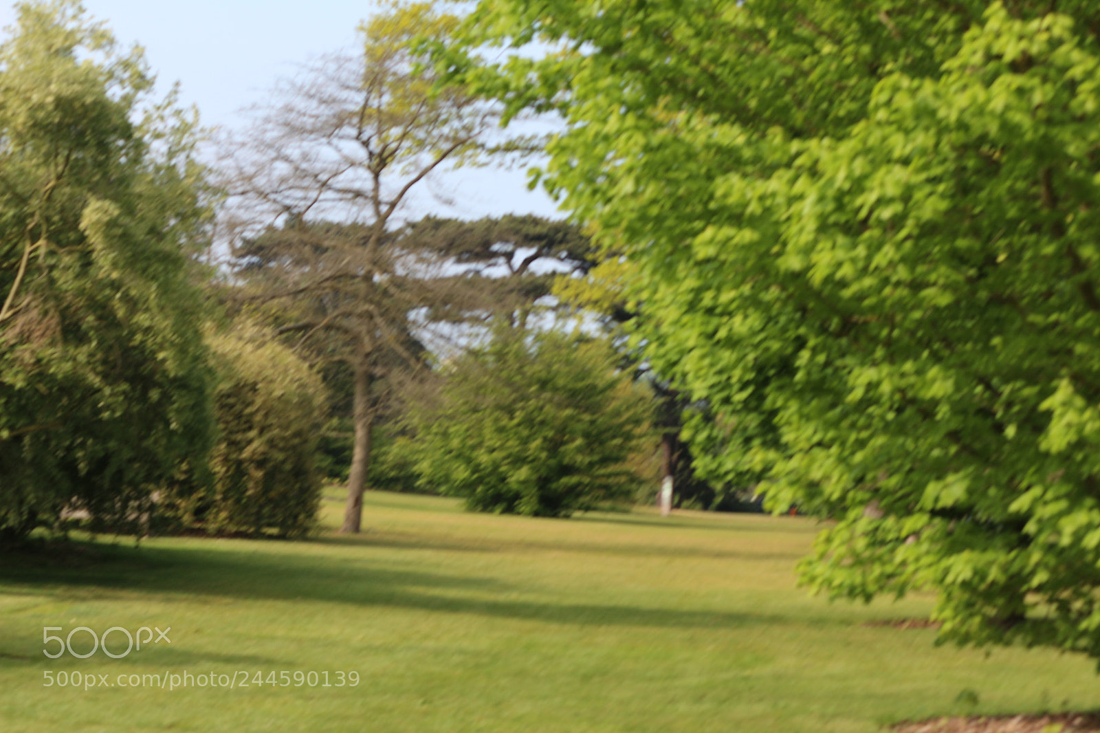 Canon EOS 650D (EOS Rebel T4i / EOS Kiss X6i) sample photo. Img photography