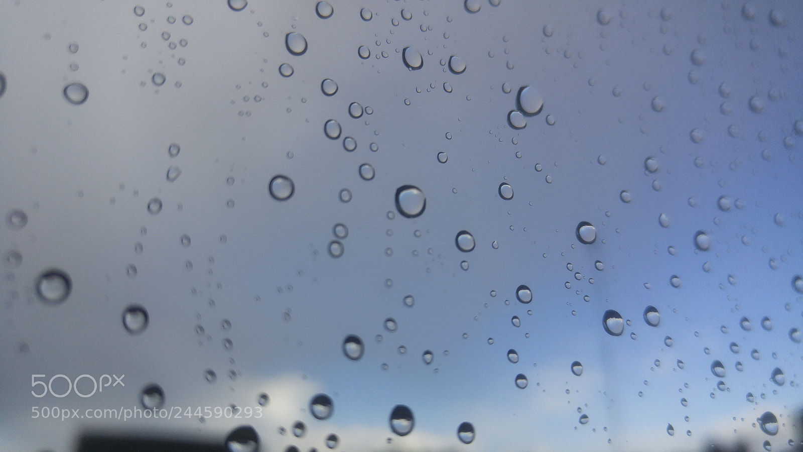 LG G4 sample photo. Untitled photography