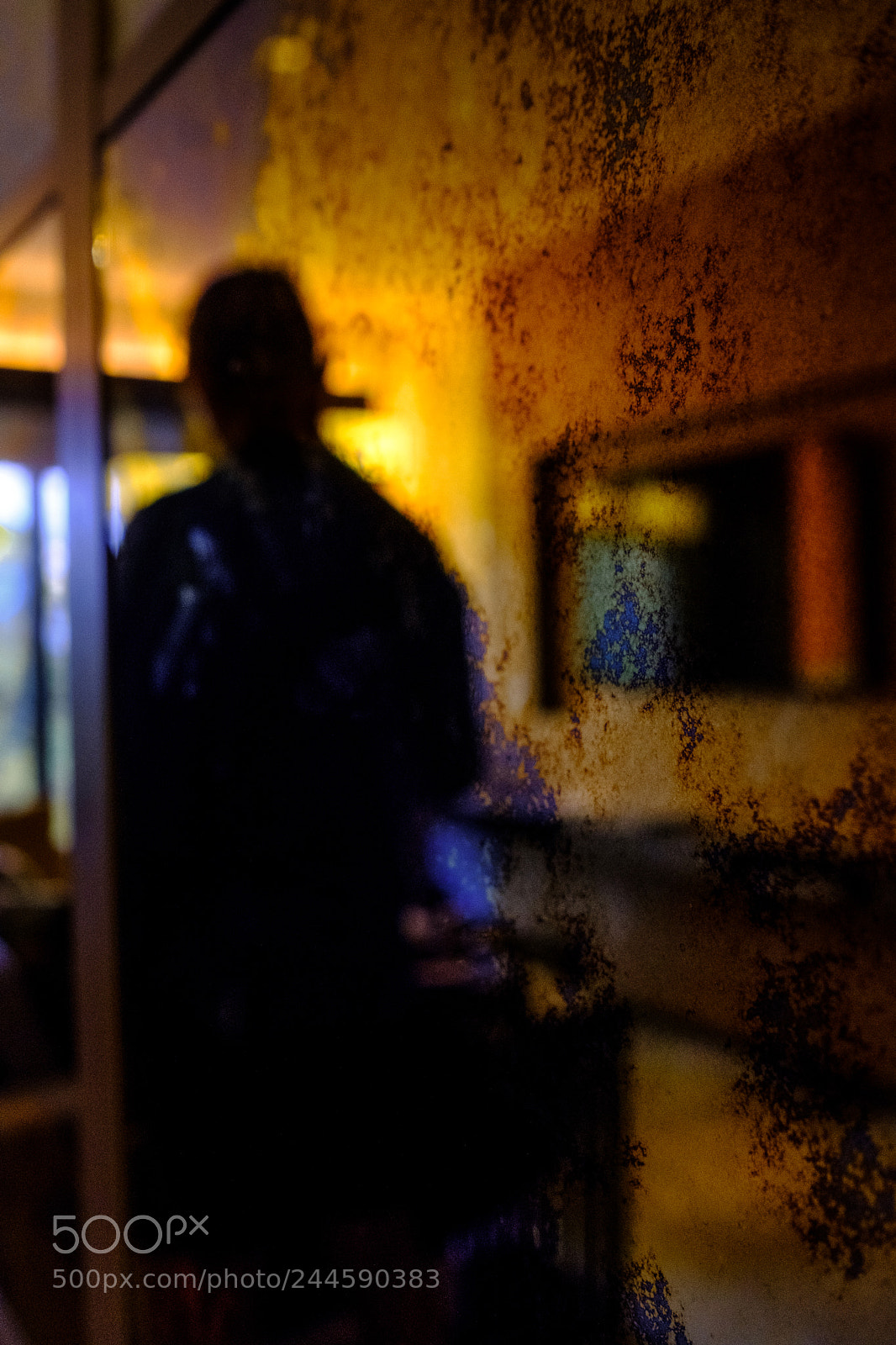 Fujifilm X-T2 sample photo. Through the mirror photography