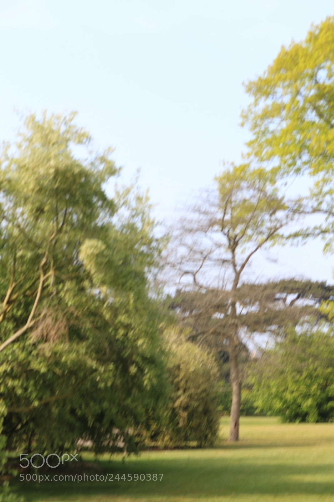 Canon EOS 650D (EOS Rebel T4i / EOS Kiss X6i) sample photo. Img photography