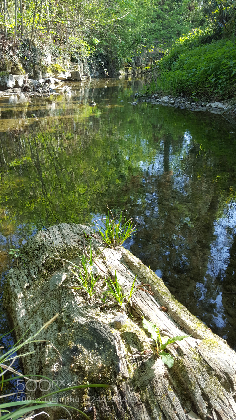 Samsung Galaxy S6 sample photo. River photography