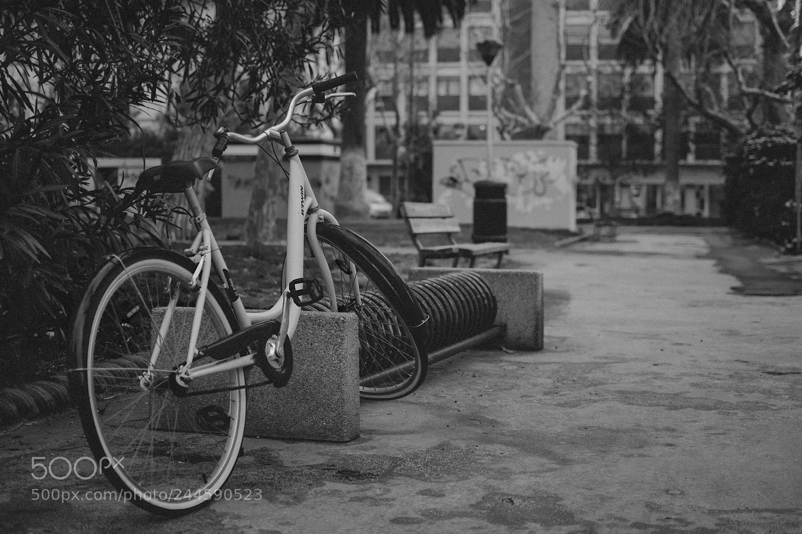Nikon D3400 sample photo. Street photography