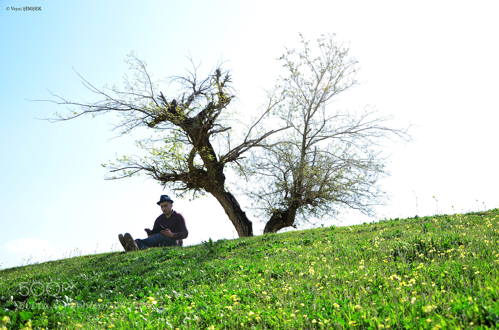 Nikon D5100 sample photo. Doğada okuma photography