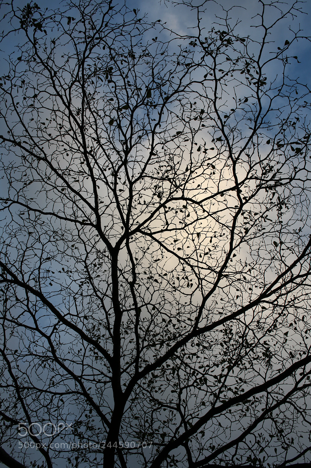 Canon EOS 5D sample photo. Relaxed day photography