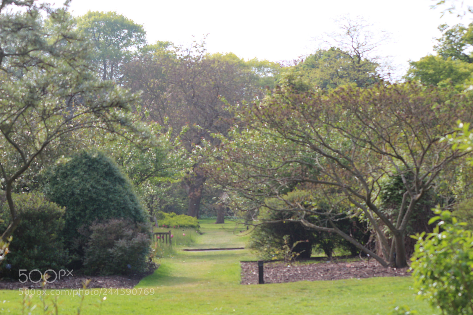 Canon EOS 650D (EOS Rebel T4i / EOS Kiss X6i) sample photo. Img photography
