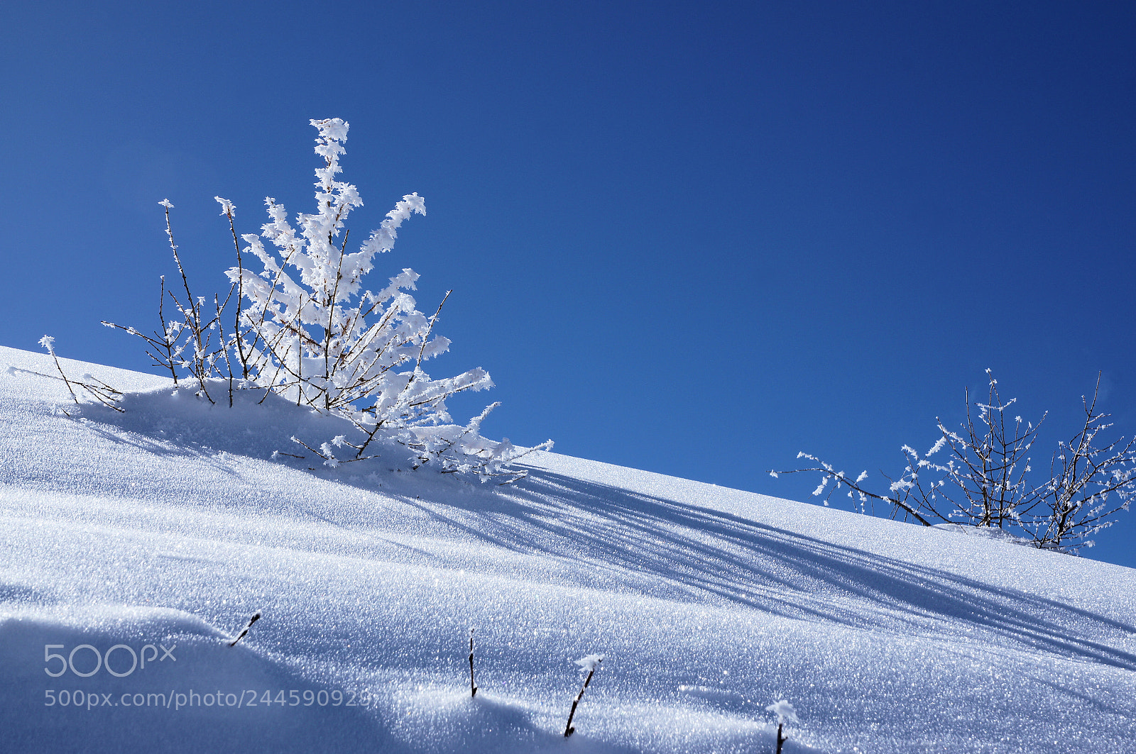Sony Alpha DSLR-A580 sample photo. Dolomiti photography